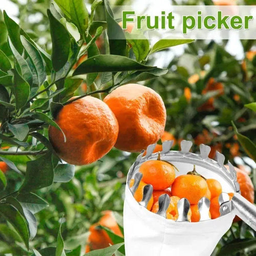 FruitMaster Pro Picker with Basket Cutte